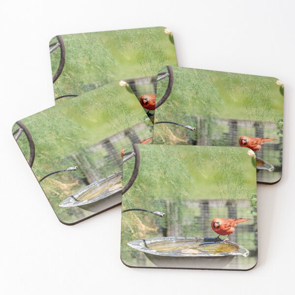 Item preview, Cardinal Bathing designed and sold by JPfeiffer Pfotos.