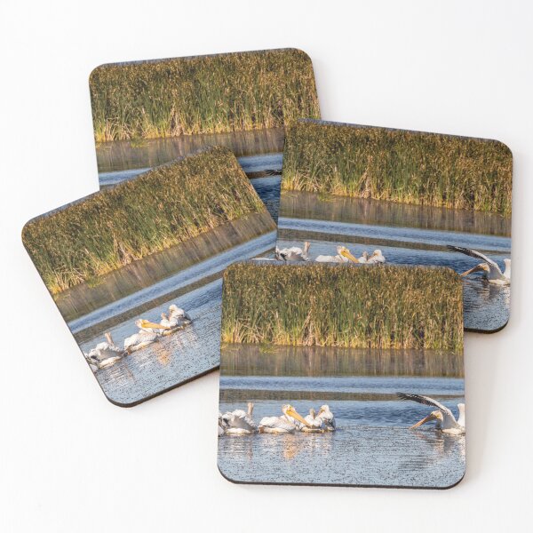 Item preview, Pelicans 3 designed and sold by JPfeiffer Pfotos.