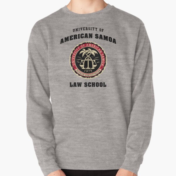 American University Hoodies Sweatshirts for Sale Redbubble