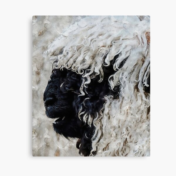 Vista previa del artículo con la obra «Ovejas suizas Valais Blacknose, arte de ovejas mullidas Valais Blacknose, lindo retrato de animales de granja de ovejas suizas, adorables ovejas suizas Valais Blacknose», diseñado y vendido por Paintcorner.