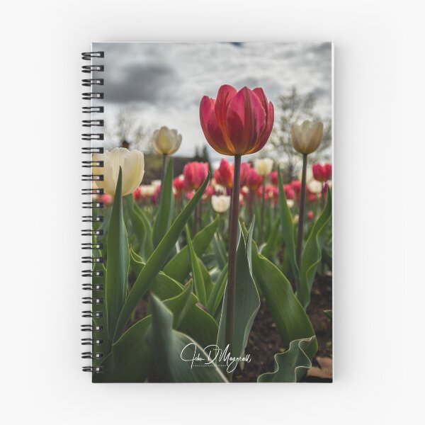 Item preview, Canadian Flag Tulip Edition designed and sold by John Mazerall.