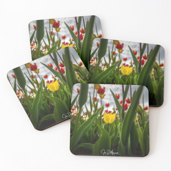 Item preview, Festival canadiense del tulipán designed and sold by John Mazerall.