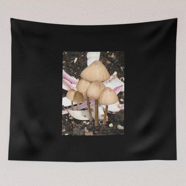 Item preview, Mysterious Mushrooms designed and sold by Chriscolibaba.