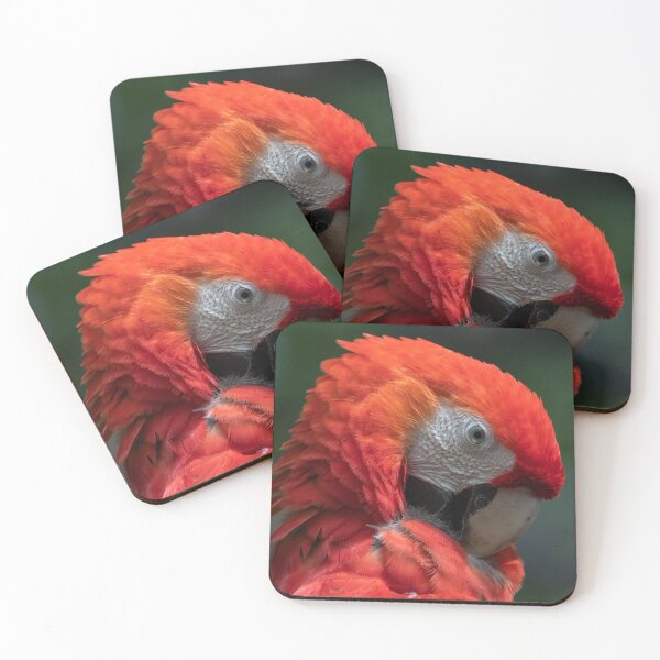 Item preview, Scarlet Macaw Portrait designed and sold by OAwildlife.
