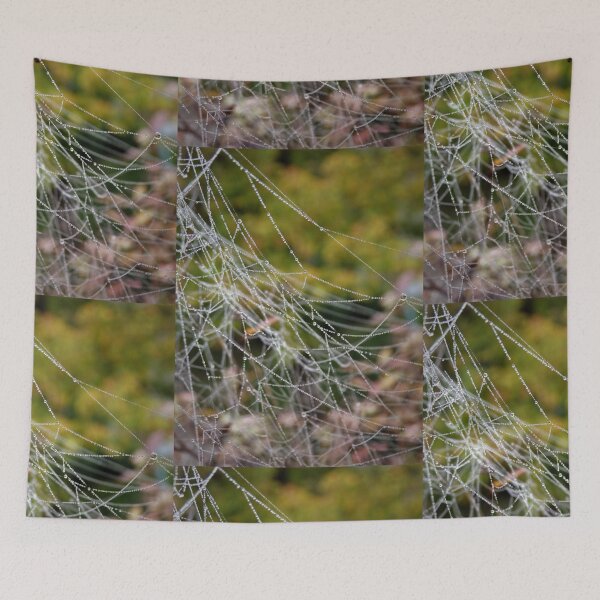 Item preview, A wet spiderweb designed and sold by Tiia Vissak.