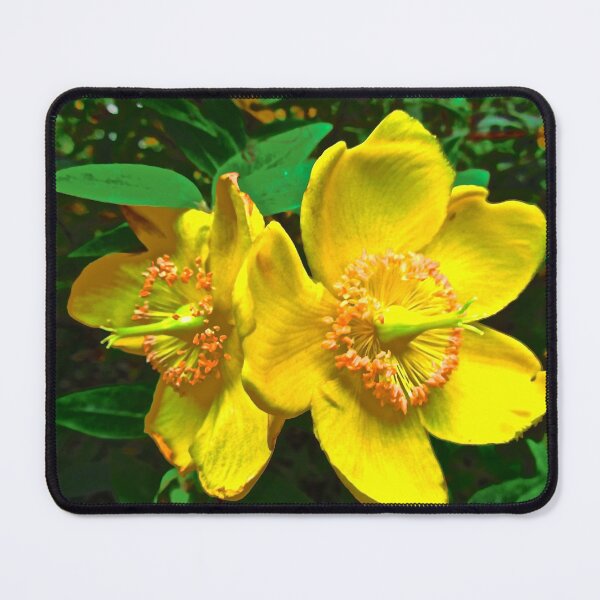 Item preview, Yellow flowers designed and sold by Shulie1.
