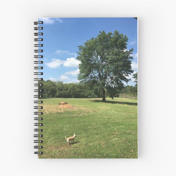 Item preview, La vida de un perro designed and sold by trisha22.