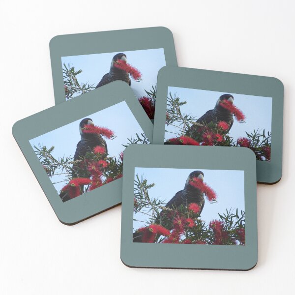 Item preview, Cockatoo Snack designed and sold by KayaCooee.