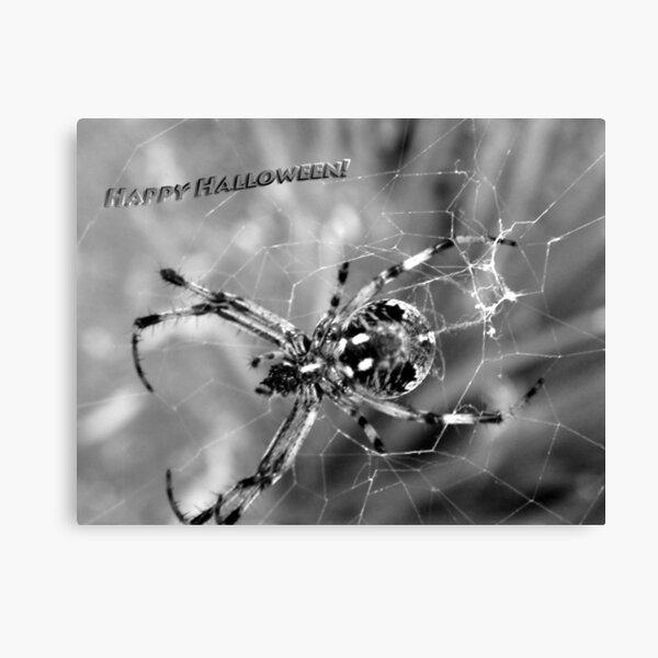 Happy Halloween Canvas Print