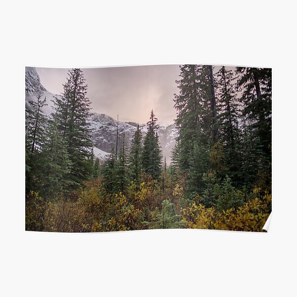 Heather Sunrise Poster
