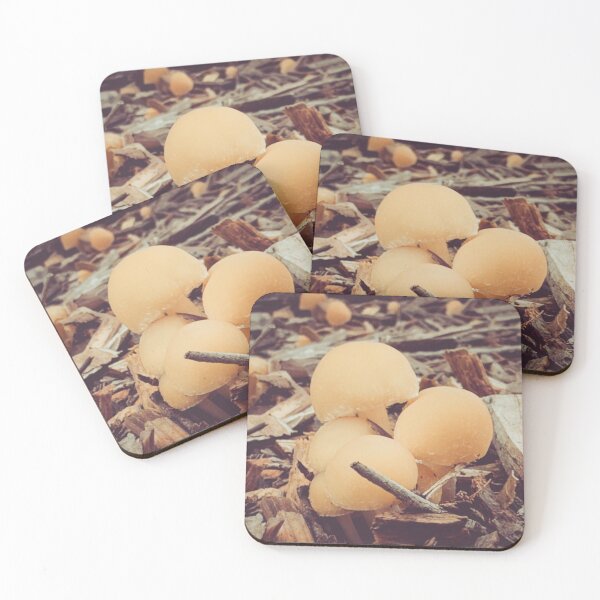 Item preview, Foraging in Nature designed and sold by Selfindulgent.