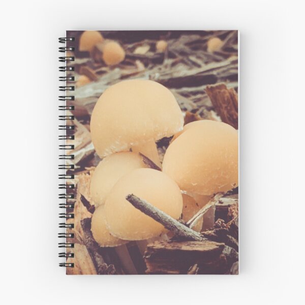 Item preview, Foraging in Nature designed and sold by Selfindulgent.