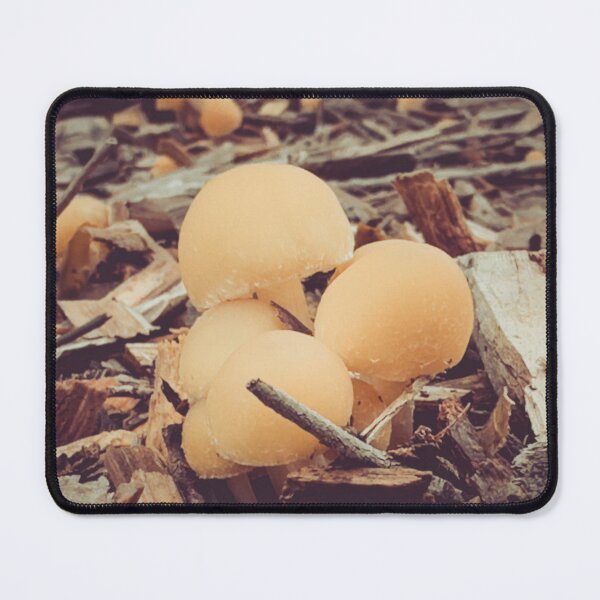 Item preview, Foraging in Nature designed and sold by Selfindulgent.