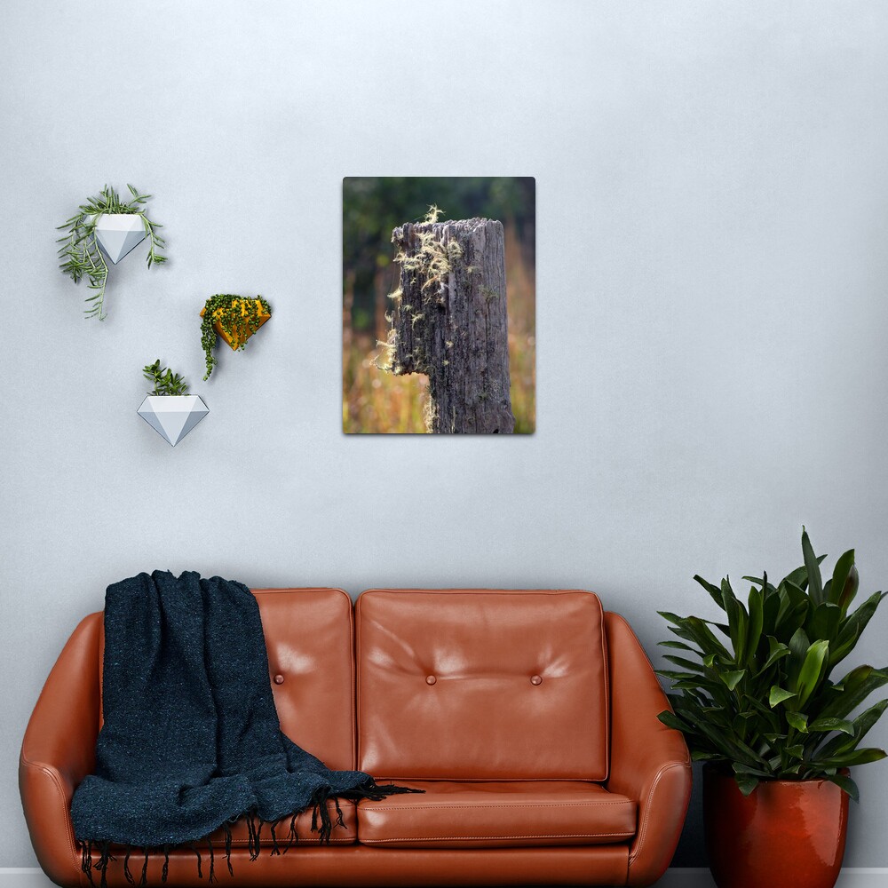 Abandoned Fencepost Metal Print
