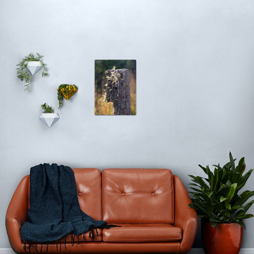 Abandoned Fencepost Metal Print