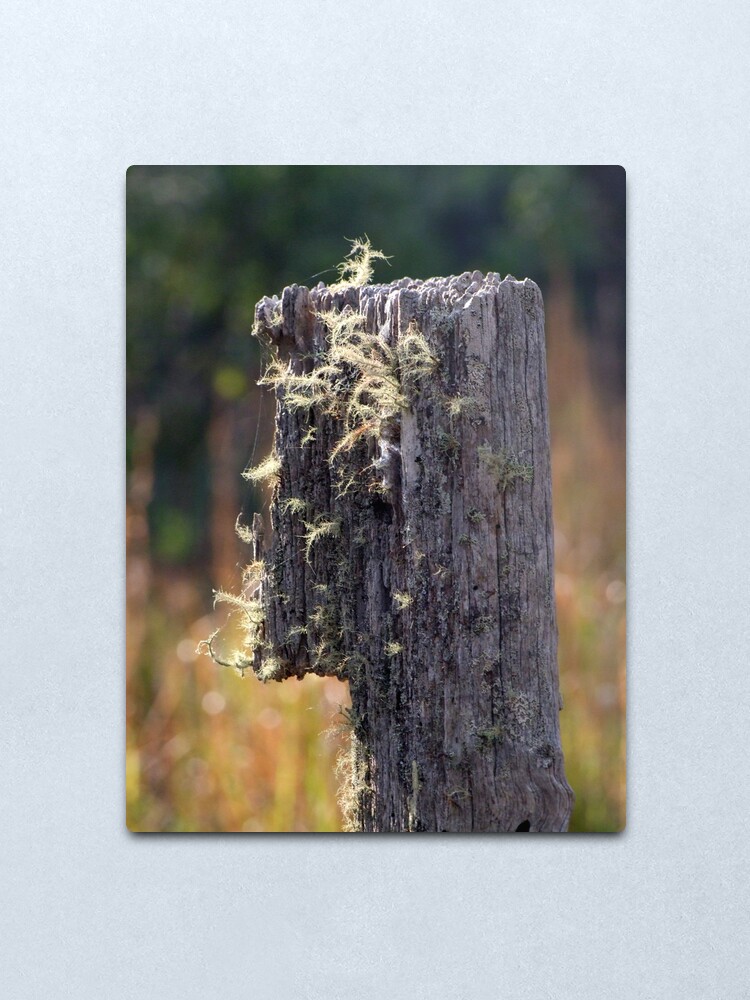 Alternate view of Abandoned Fencepost Metal Print