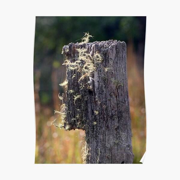 Abandoned Fencepost Poster
