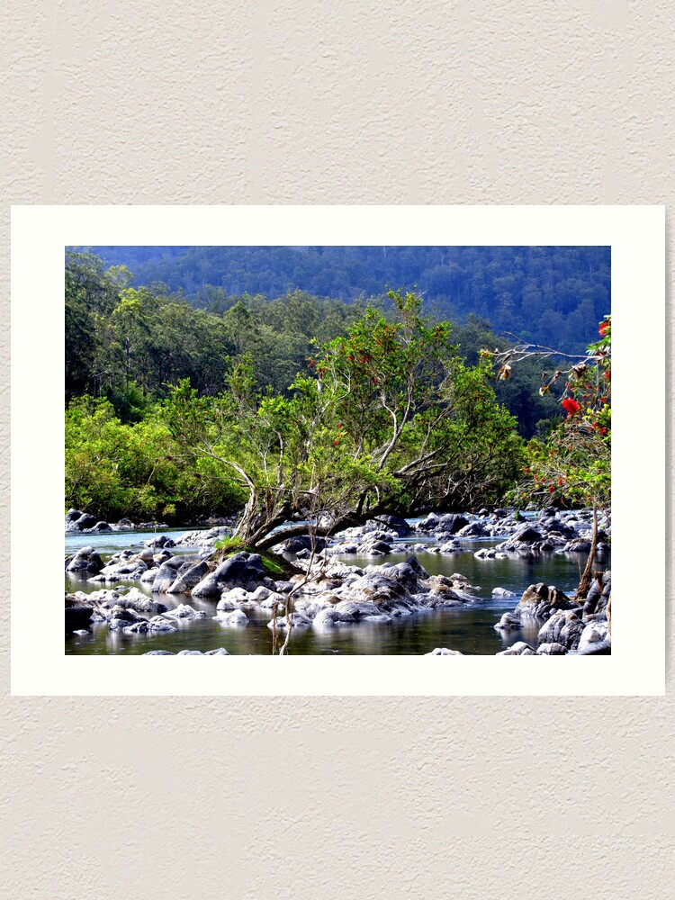 Alternate view of Nymboida River Art Print