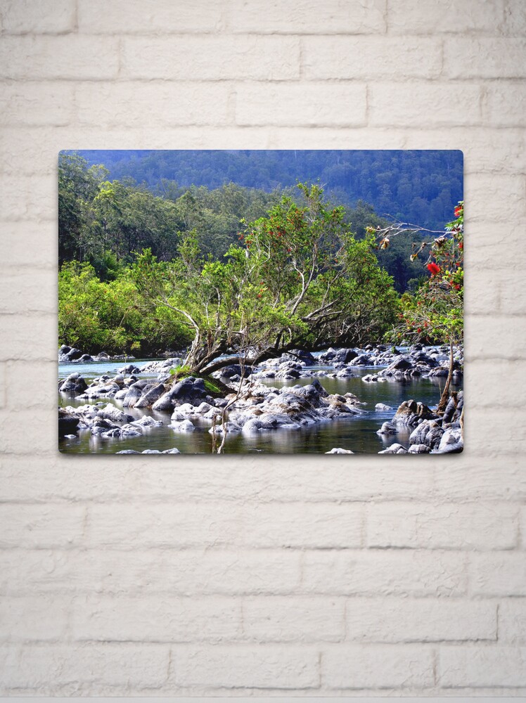 Thumbnail 2 of 4, Metal Print, Nymboida River designed and sold by theoddshot.