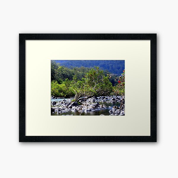 Framed Art Print