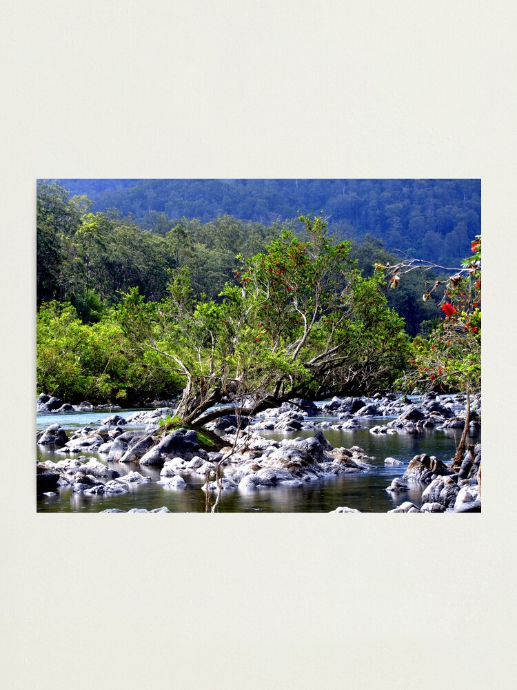 Alternate view of Nymboida River Photographic Print