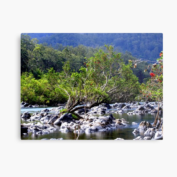 Nymboida River Metal Print