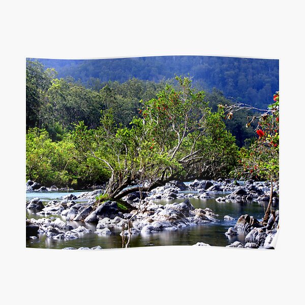 Nymboida River Poster