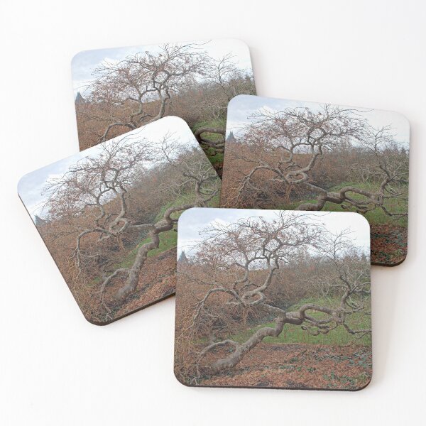 Item preview, Twisted Tree at Biltmore. designed and sold by Billlee.