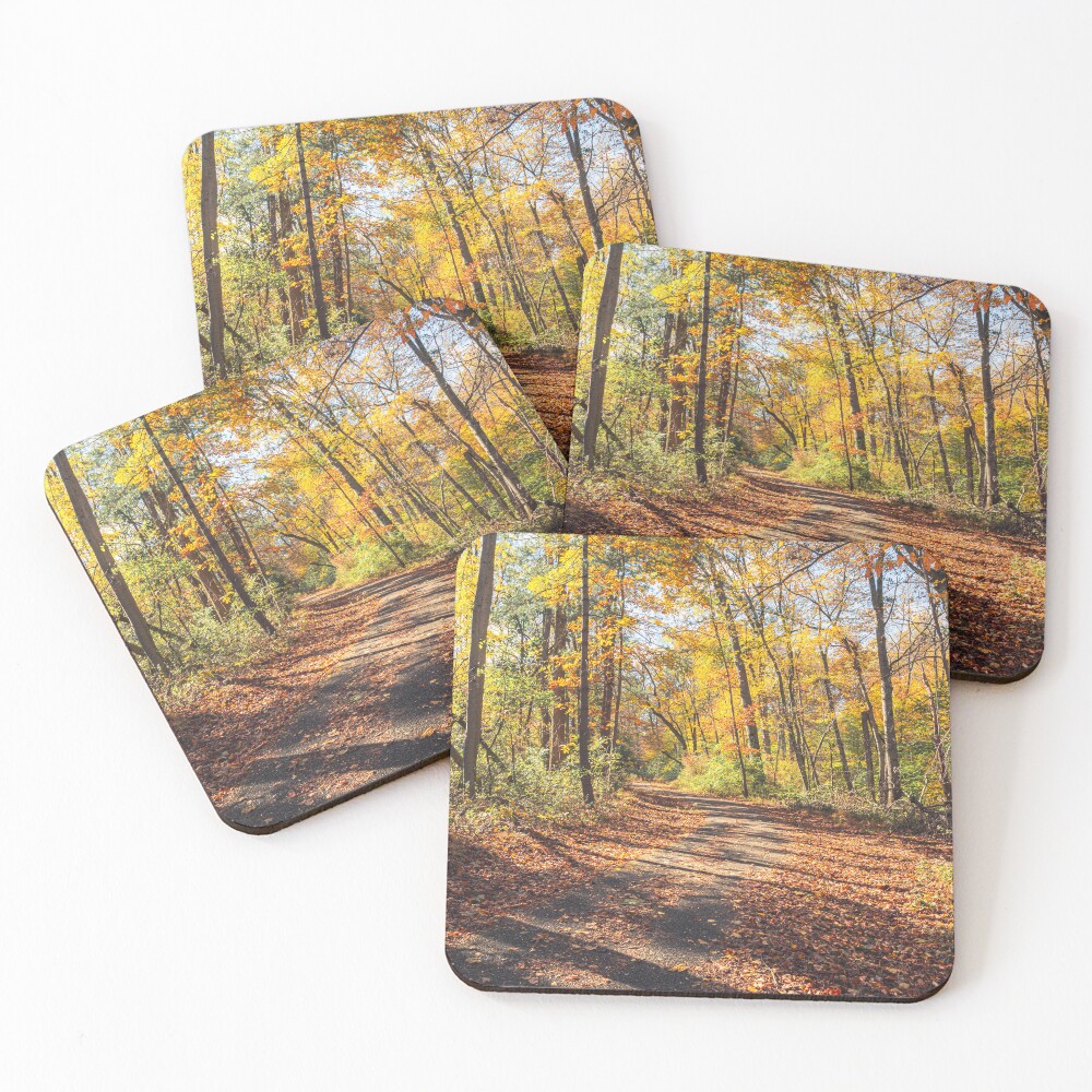 Item preview, Coasters (Set of 4) designed and sold by JaredSpackman.