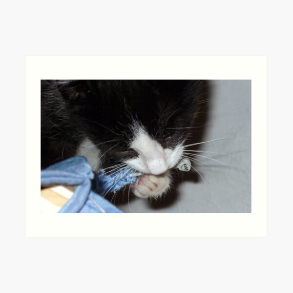 What!? - I was just checking the colour suited me. Art Print