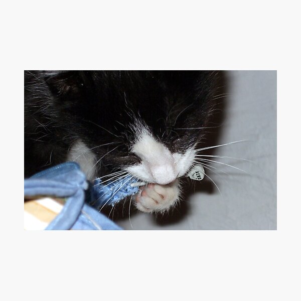 What!? - I was just checking the colour suited me. Photographic Print