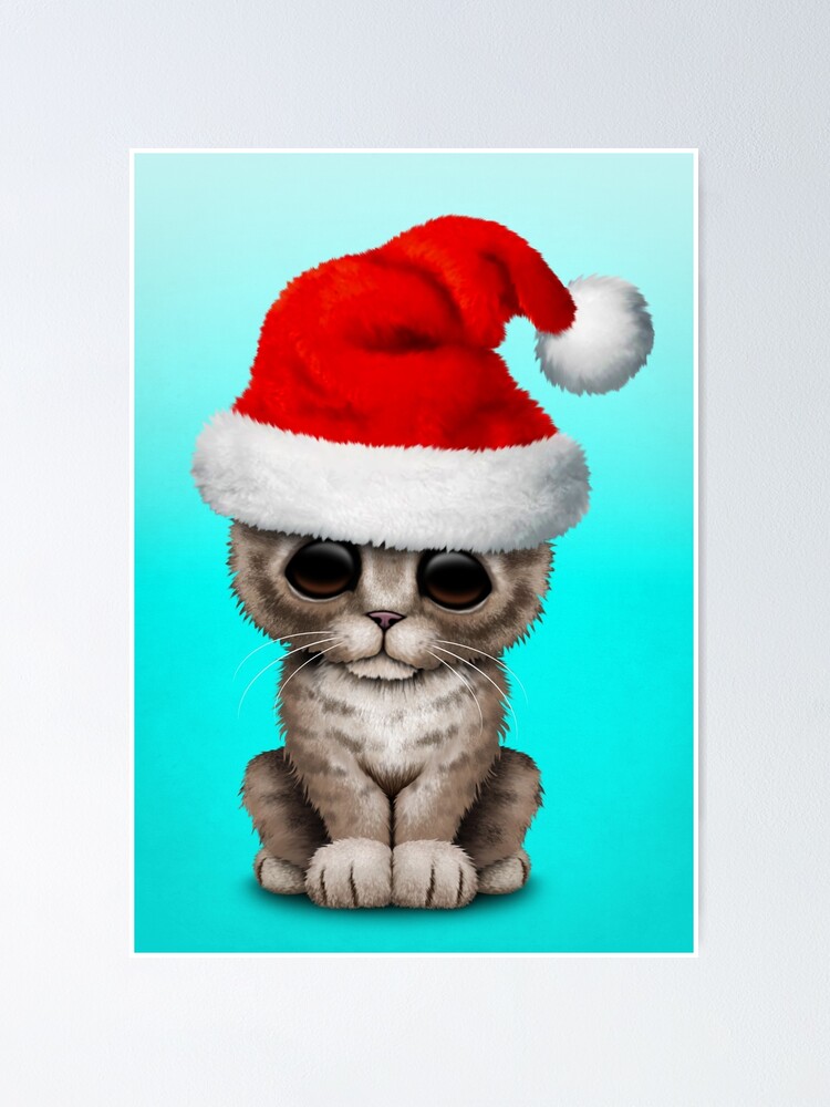 kitten christmas hat