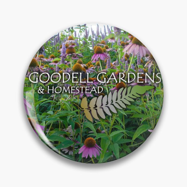 Item preview, Goodell Gardens Coneflowers designed and sold by GoodellGardens.