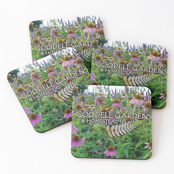 Item preview, Goodell Gardens Coneflowers designed and sold by GoodellGardens.