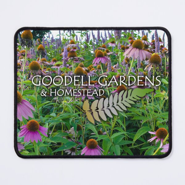 Item preview, Goodell Gardens Coneflowers designed and sold by GoodellGardens.