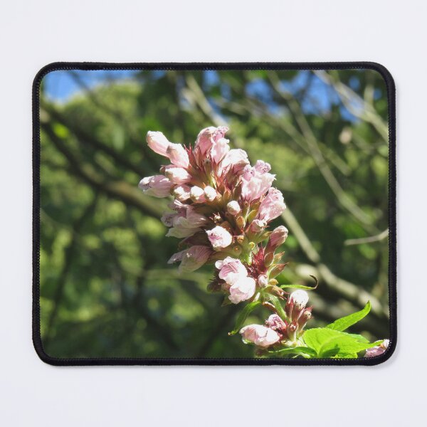 Item preview, Gorgeous pink flower cluster designed and sold by greentiger1.