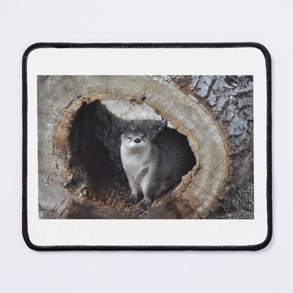 Item preview, River Otter designed and sold by MarieDarcy97.