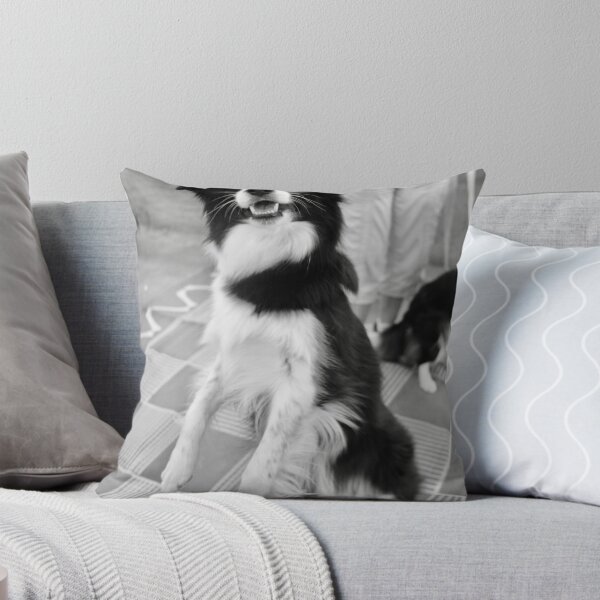 Item preview, Border Collie designed and sold by laurafay.