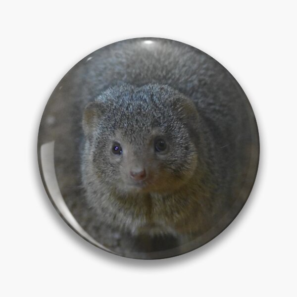 Item preview, Mongoose designed and sold by MarieDarcy97.
