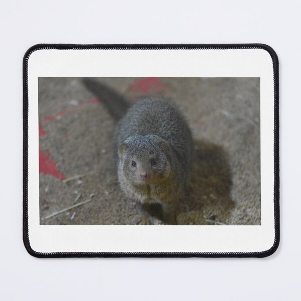 Item preview, Mongoose designed and sold by MarieDarcy97.