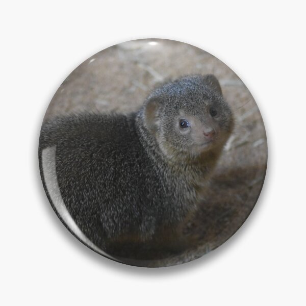 Item preview, Mongoose designed and sold by MarieDarcy97.