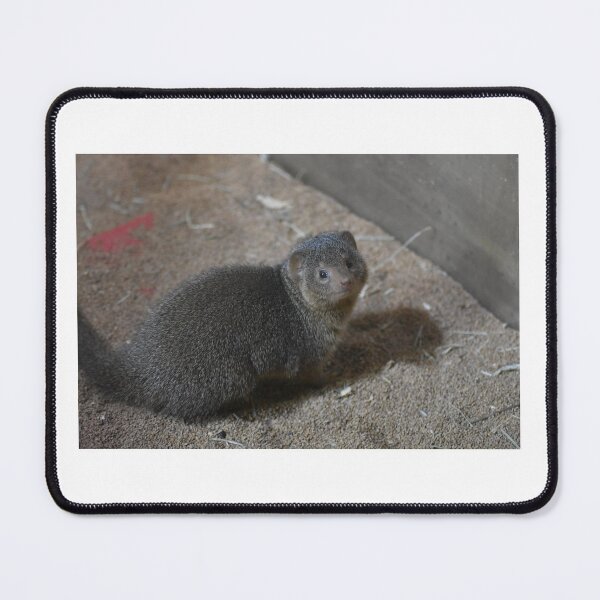 Item preview, Mongoose designed and sold by MarieDarcy97.