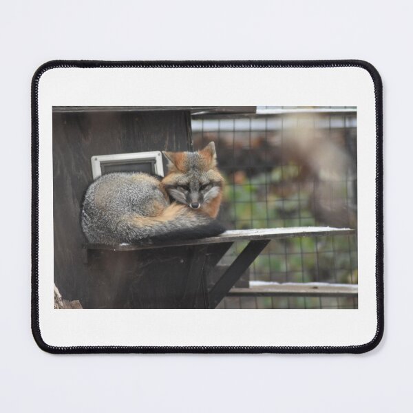 Item preview, Grey Fox designed and sold by MarieDarcy97.