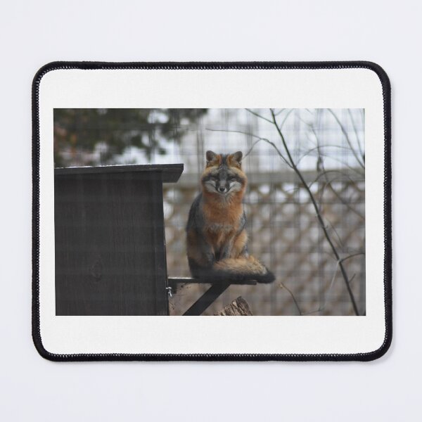 Item preview, Grey Fox designed and sold by MarieDarcy97.