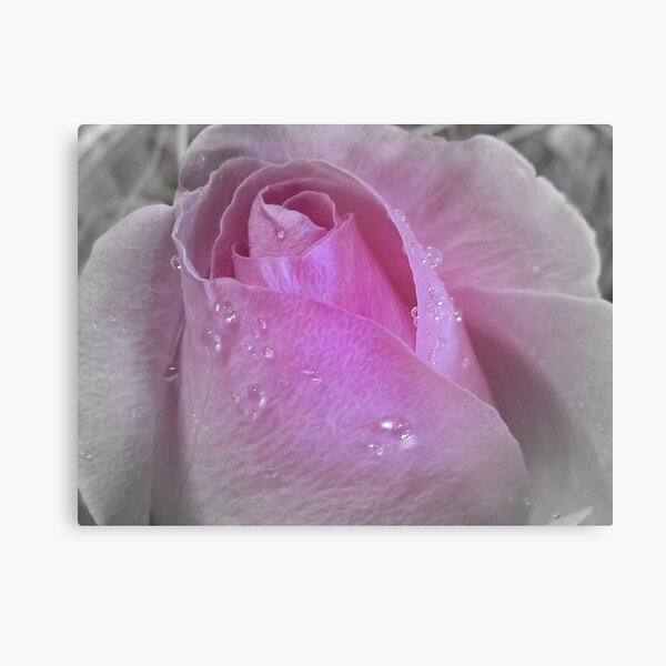 A Wedding Day Metal Print