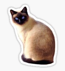 Siamesische Katze Sticker