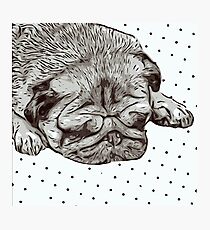 Mops Leben Fotodruck
