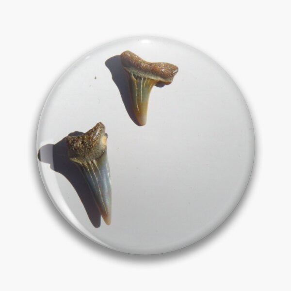 Item preview, Sand Shark Teeth designed and sold by wiggyofipswich.