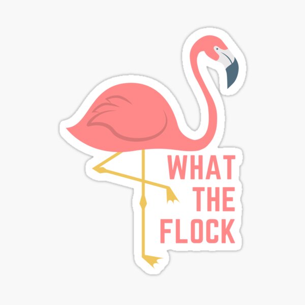 Flamingo Gifts Merchandise Redbubble