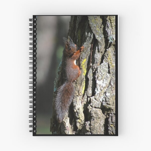 Item preview, Chipmunk designed and sold by iago rodriguez dopico.